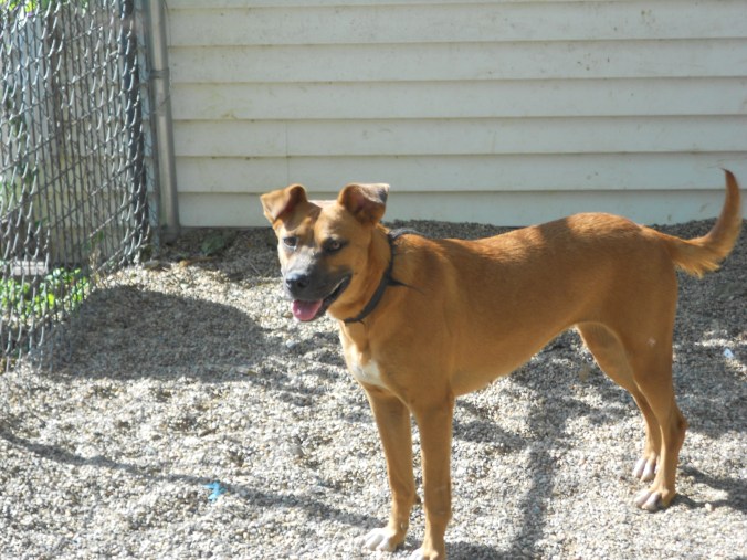 Lilah is almost a year old.