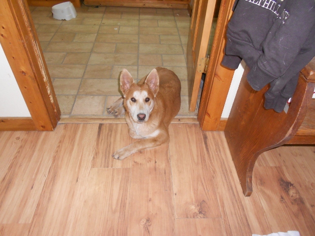 Sophie is still waiting.