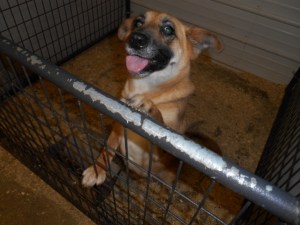 6-13-2013 045 (640x480)