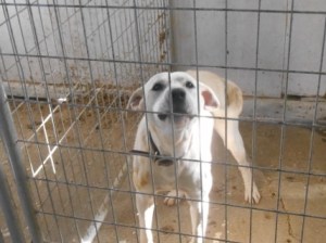 Bryan happy to see me!