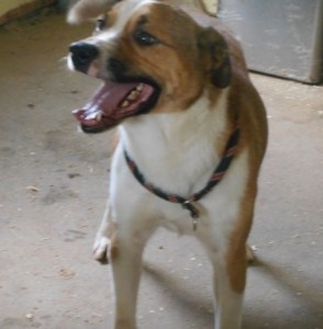 Emerson needs a Family