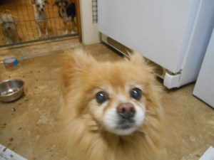 DSCN8844 (640x480) (640x480)