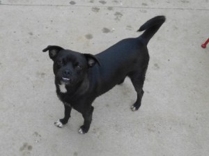 Iris has been waiting for so long.