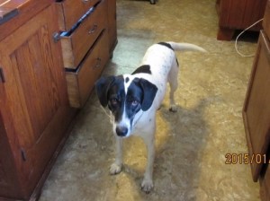 Bay-A special gal that needs a woman and love.