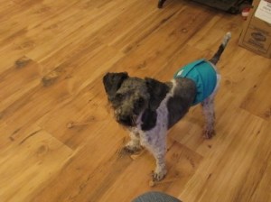 Here he is--The Real Deal!