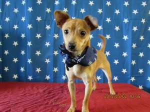 Angel looks adorable!