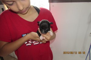 Mira (Miracle)--female