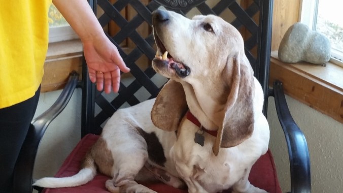 20151024_142341 (1024x576)