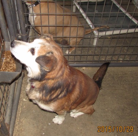 IMG_2214 (1024x1009)