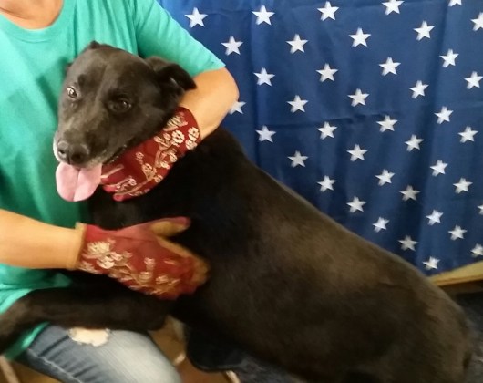 20160702_113409-2 (1024x813)