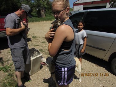 IMG_3919 (1024x768).jpg