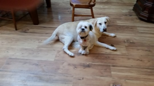 20160912_065533-1024x576-2