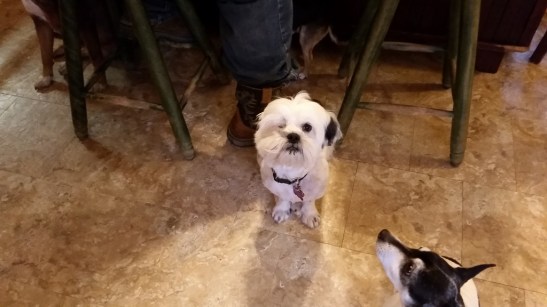 20160913_095119-1-1024x576