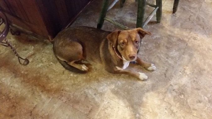 20161005_074617-1024x576