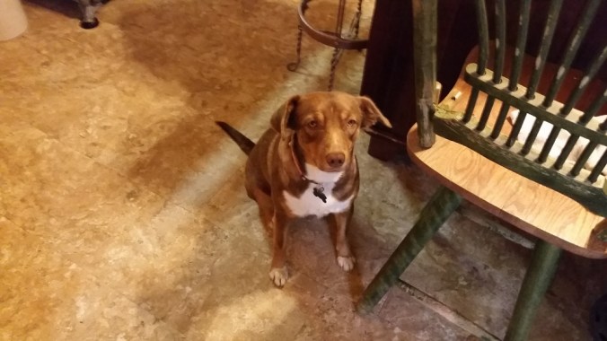 20161005_074707-1024x576