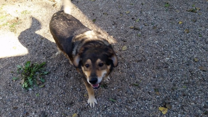 20161008_153722-1024x576