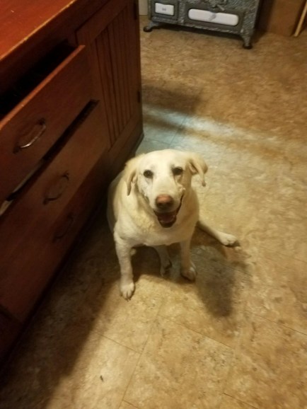 2063_1478036713795-768x1024