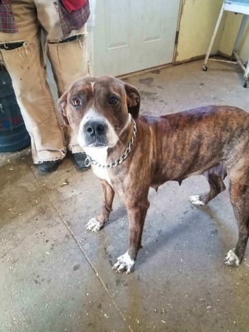 2278_1482071284230-768x1024