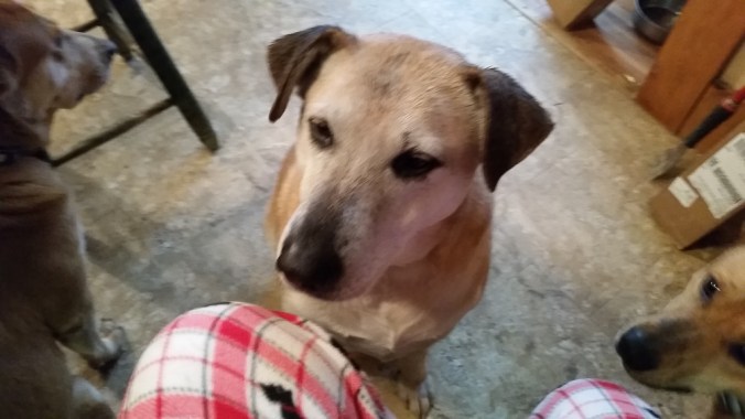 20170116_114829-1024x576