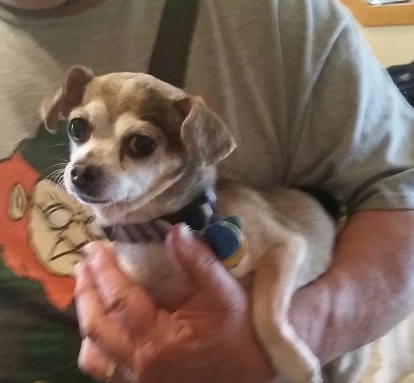 20170319_083546-1 (1024x948)