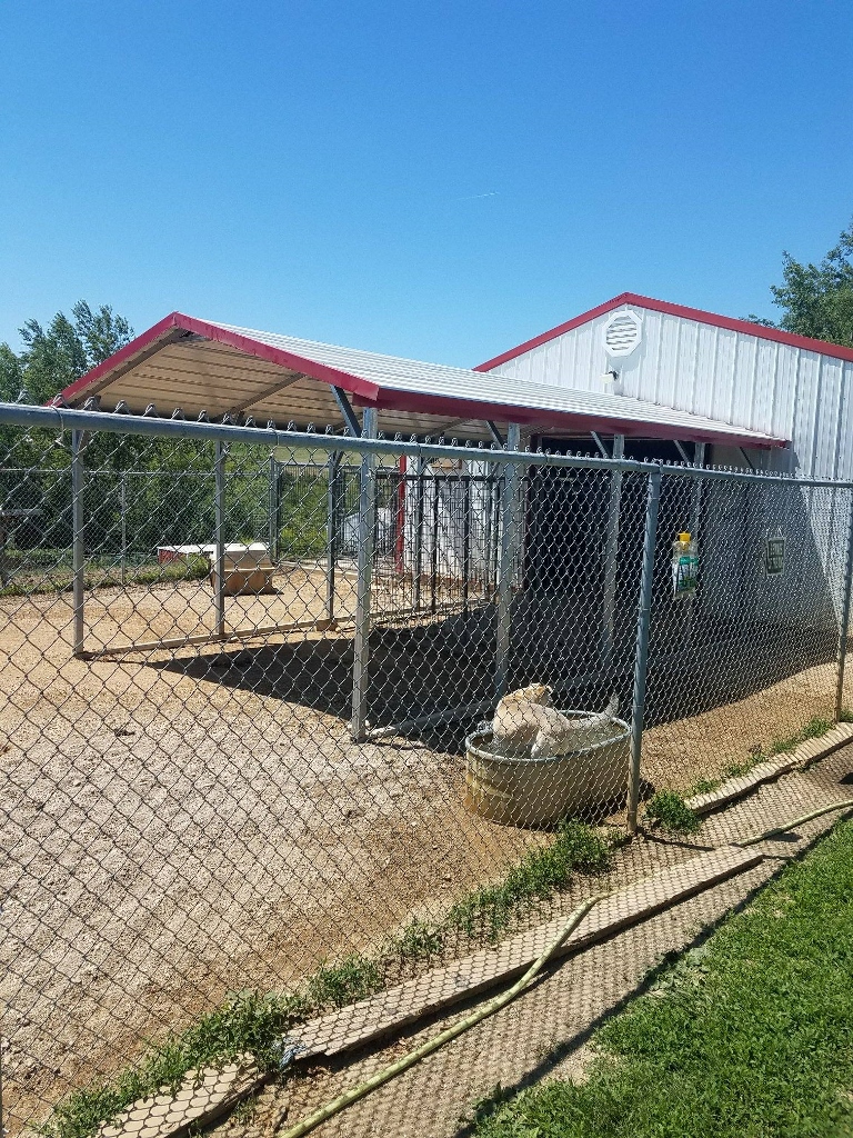 1495_1496357035222 (768x1024)