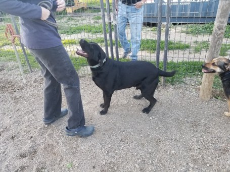 20170522_190424 (1024x768)