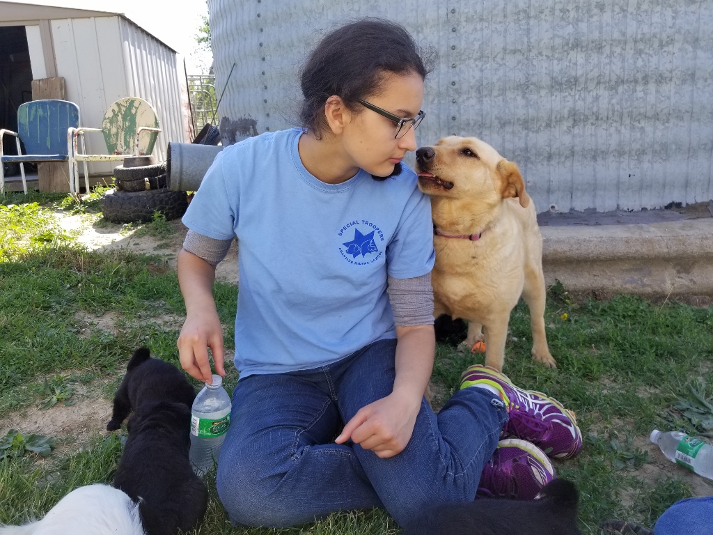 20170603_104613 (1024x768).jpg