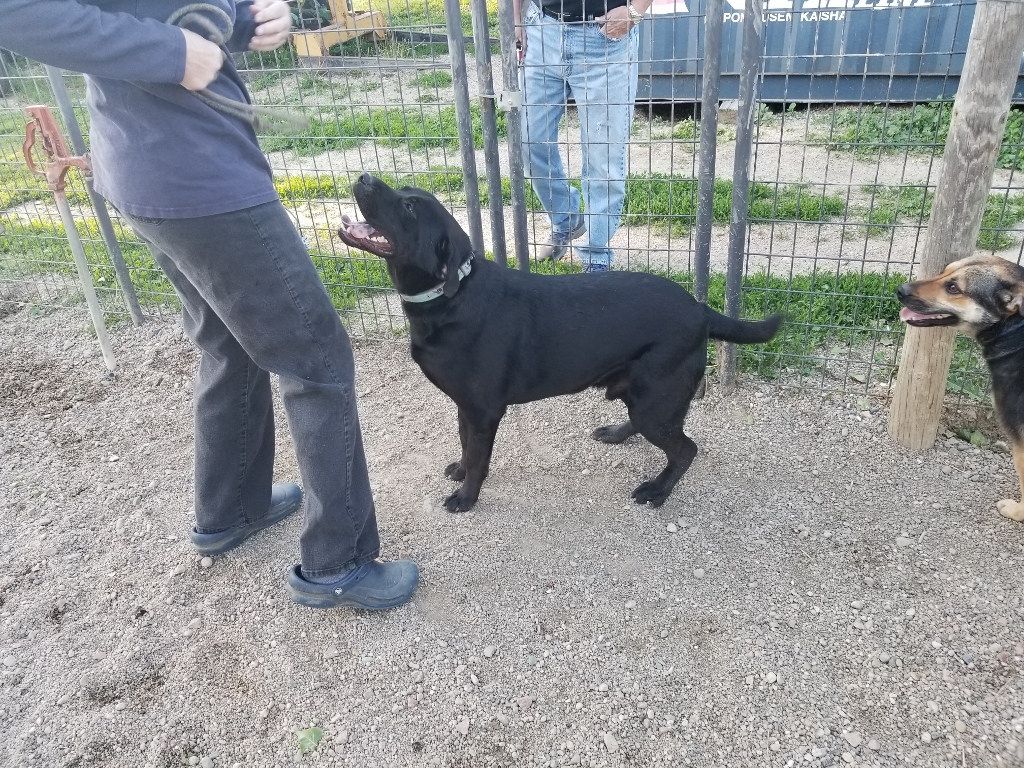 20170522_190424 (1024x768)