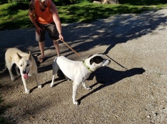 20170822_174222(2) (1024x768)