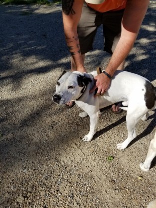 20170822_174229 (768x1024)