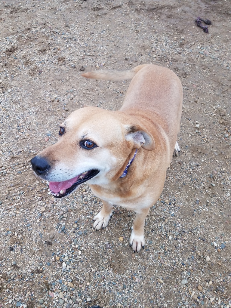 20171002_130533 (768x1024)