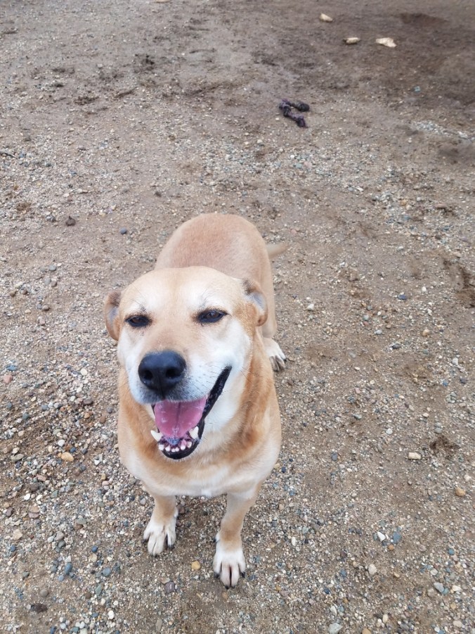 20171002_130551 (768x1024)