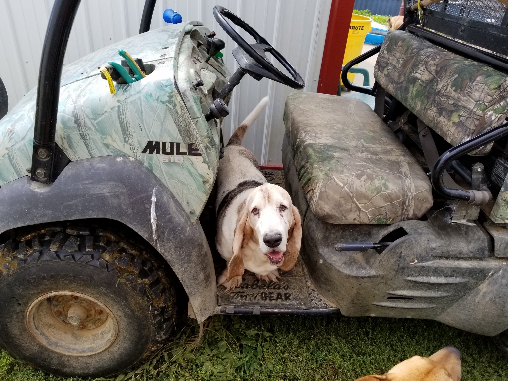 20170917_121115 (1024x768)