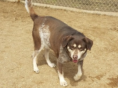 2671_1491609375072 (1024x768)