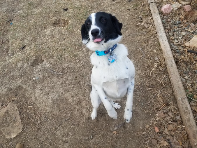 20171214_102153 (1024x768)