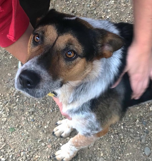 2272_1509840377806 (969x1024).jpg