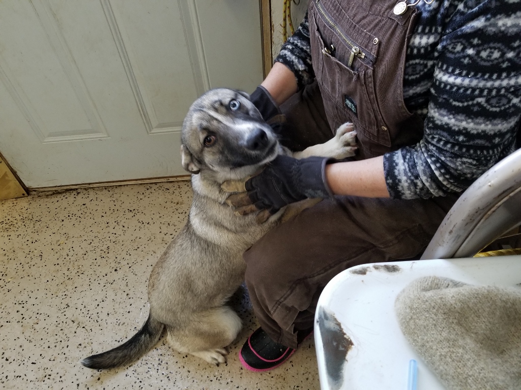 20180124_123851 (1024x768)