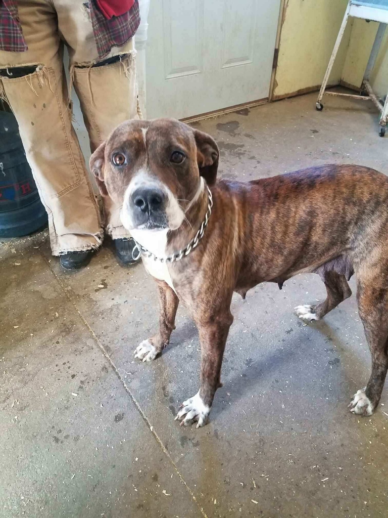 2278_1482071284230 (768x1024)