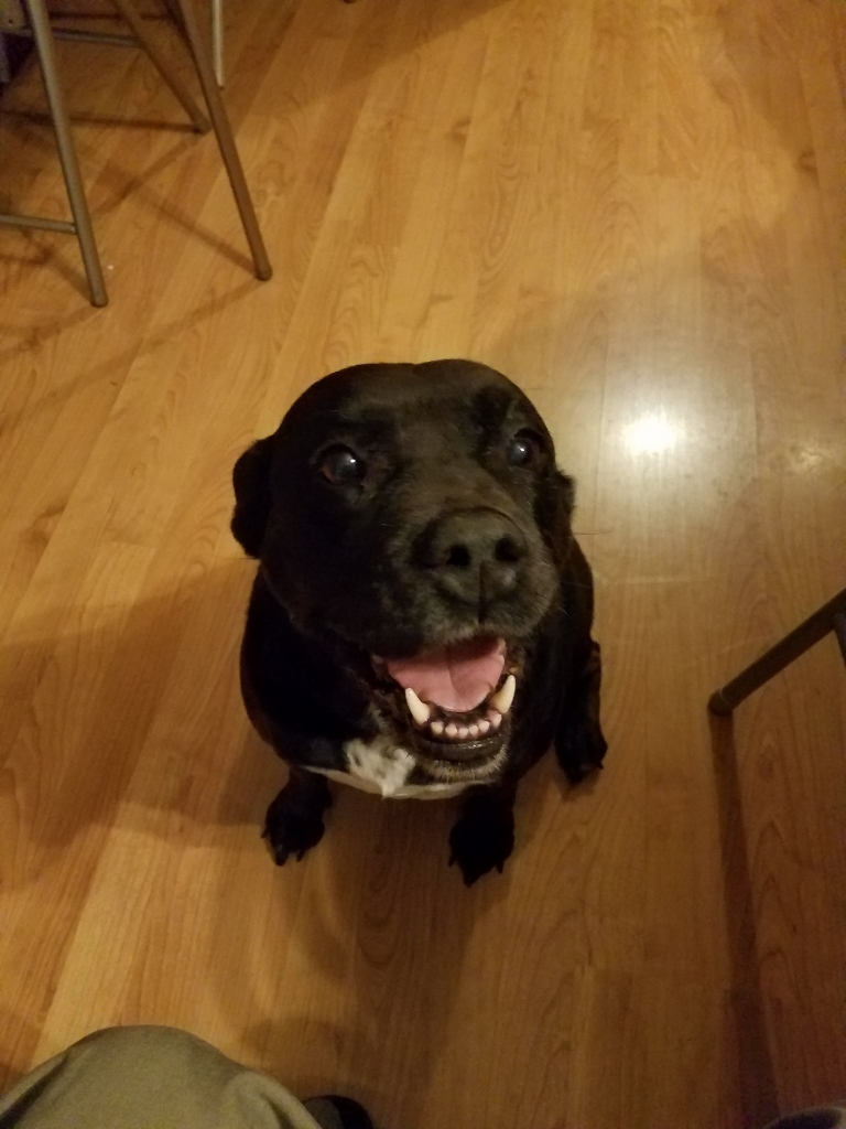 20171105_185016(1) (768x1024)