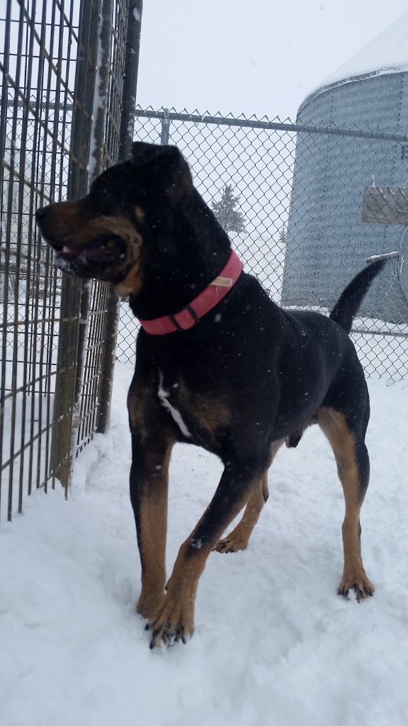 20170125_111226 (576x1024)