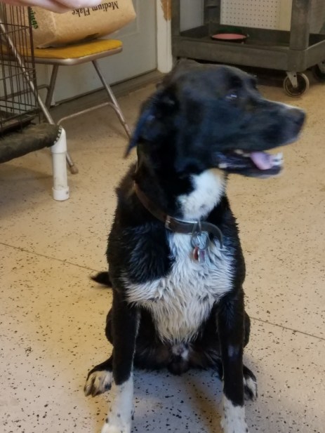 20180601_083740 (1024x768) (1024x768)