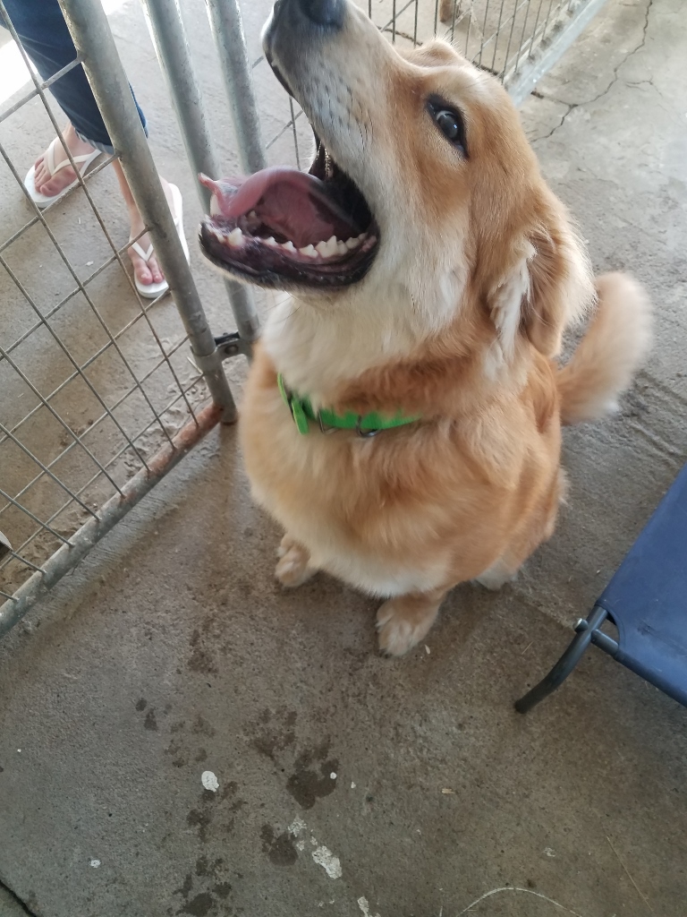 20180601_092334 (768x1024) (768x1024)