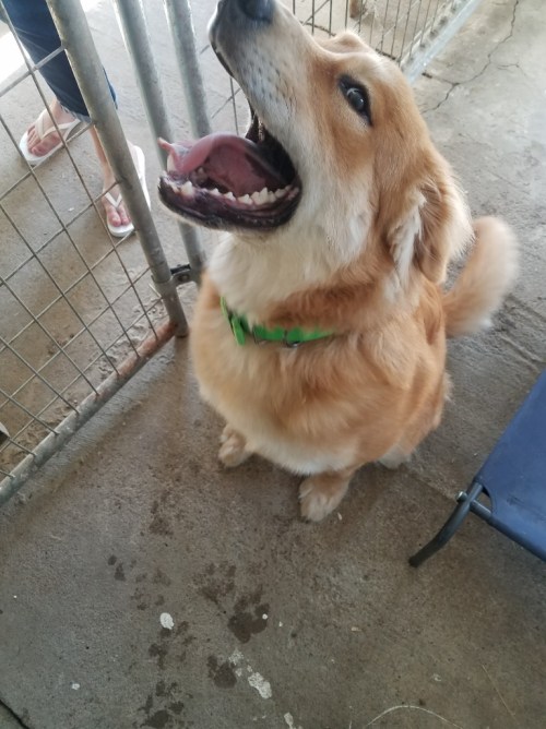 20180601_092334 (768x1024) (768x1024)