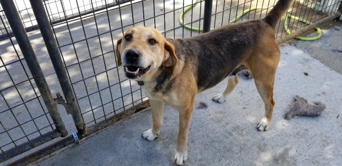 20180626_174556 (1024x498)