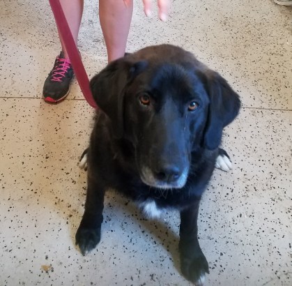 20180705_104402 (1024x1003)