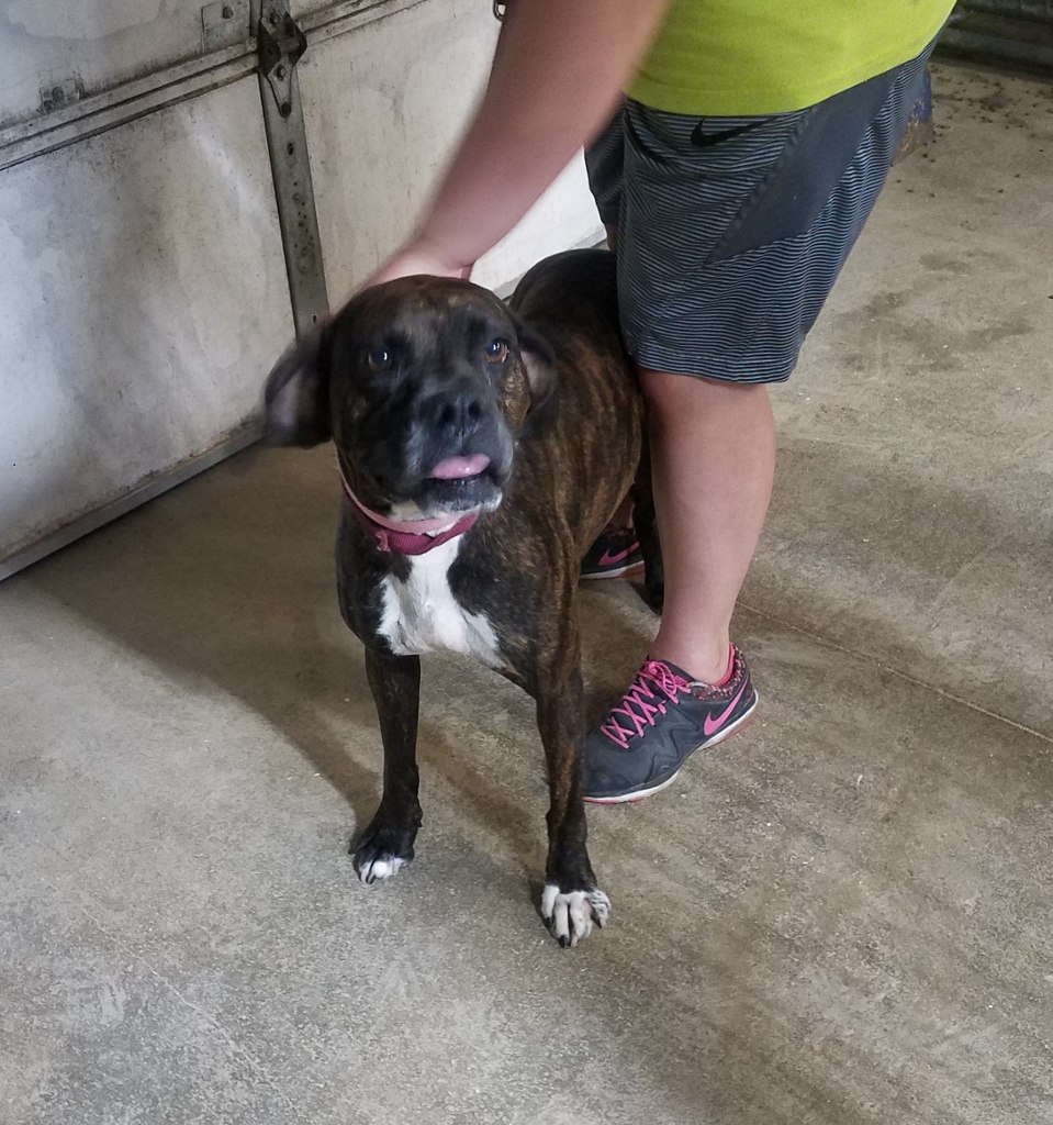 20180705_104616 (959x1024)