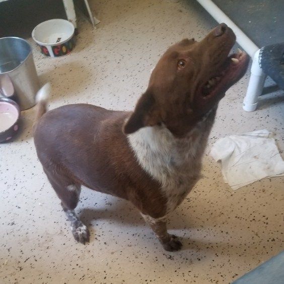 20180725_113824 (1024x768) (632x631)