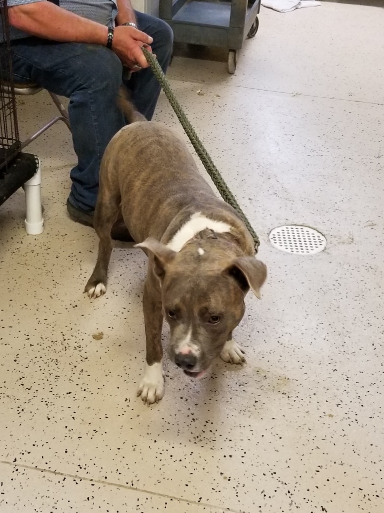 20180913_095832(1) (768x1024)