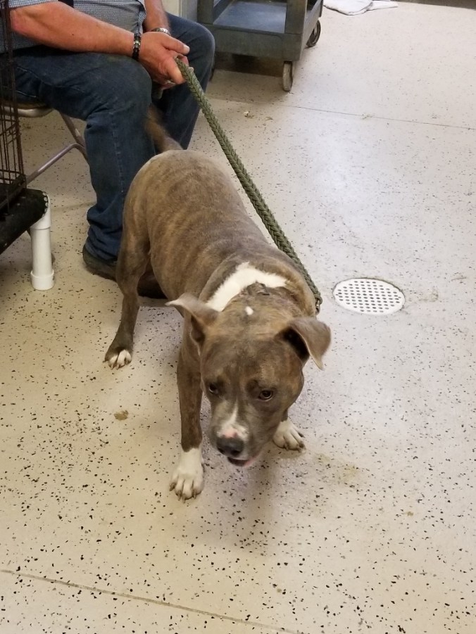 20180913_095832(1) (768x1024)