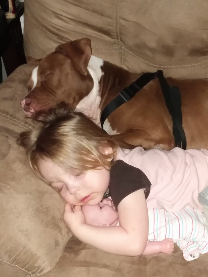 20181024_150114(1) (768x1024)